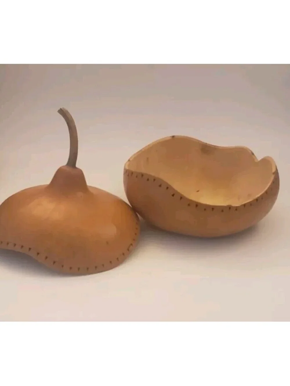 Natural Gourd Carved Dried Canteen Bushel Basket Art Etched Fall Halloween Decor